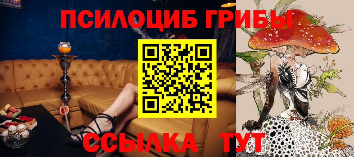 Псилоцибиновые грибы GOLDEN TEACHER Брянск